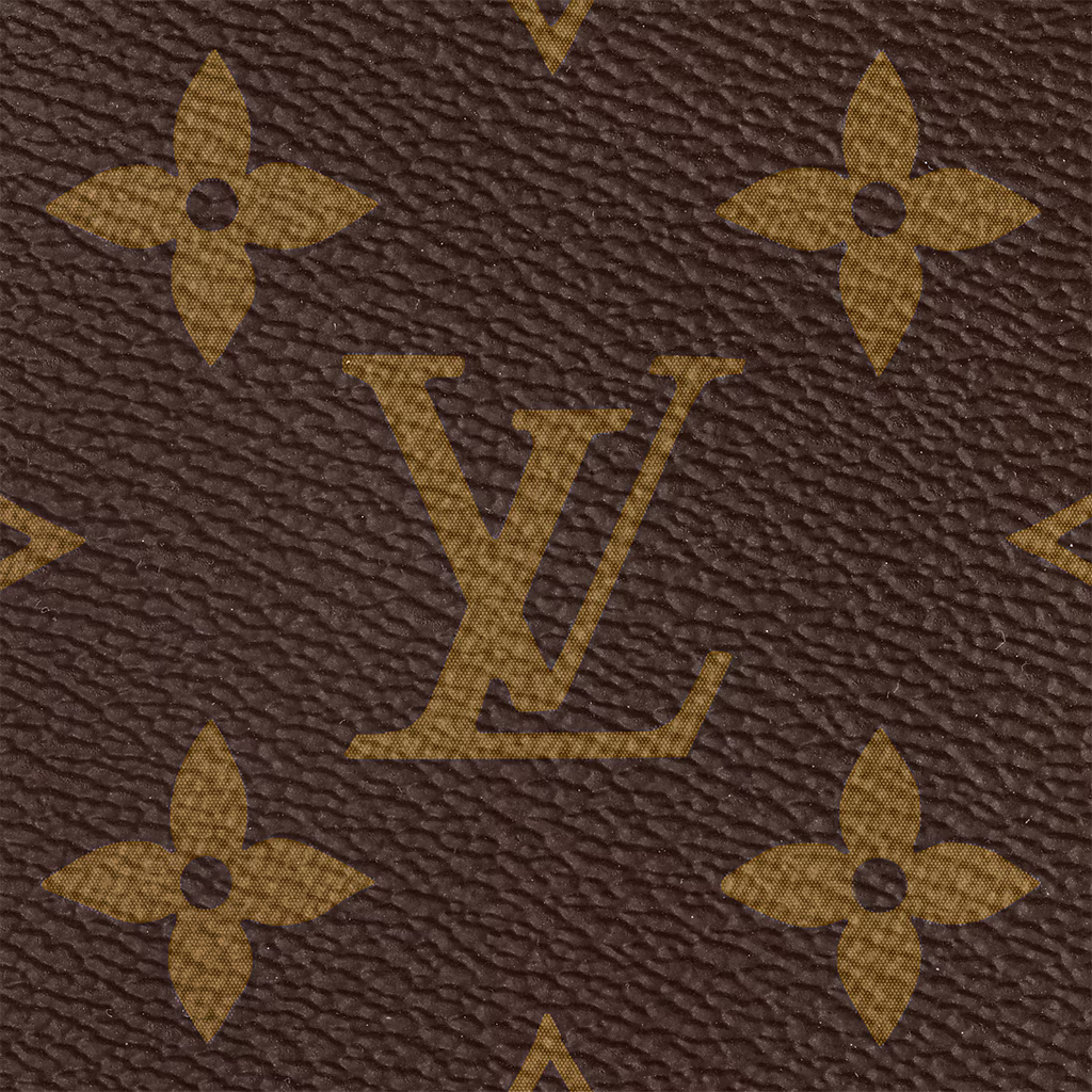 LV Multi Pochette Accessoires Bag