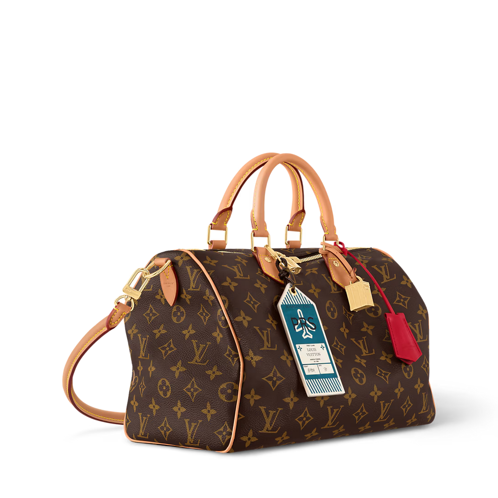 LV Speedy Soft 30 Crafty Bag