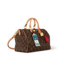 LV Speedy Soft 30 Crafty Bag