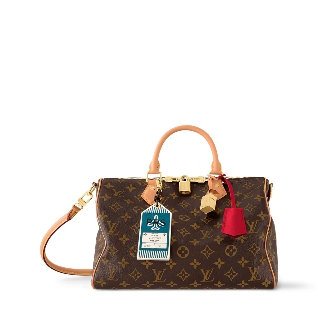 LV Speedy Soft 30 Crafty Bag